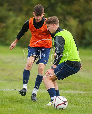 SouthEastSwans_1-4_Egerton_068