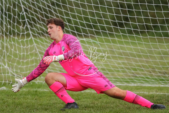 SouthEastSwans_1-4_Egerton_071