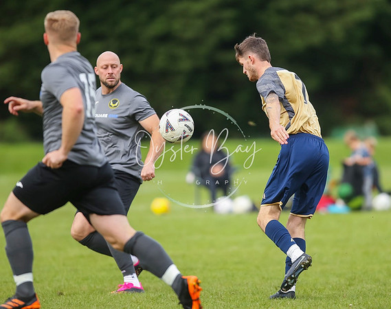 SouthEastSwans_1-4_Egerton_085