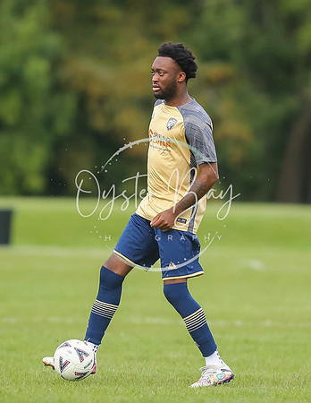 SouthEastSwans_1-4_Egerton_089