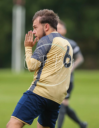 SouthEastSwans_1-4_Egerton_087