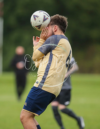 SouthEastSwans_1-4_Egerton_086