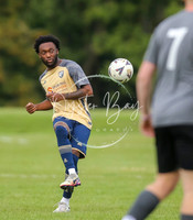 SouthEastSwans_1-4_Egerton_090