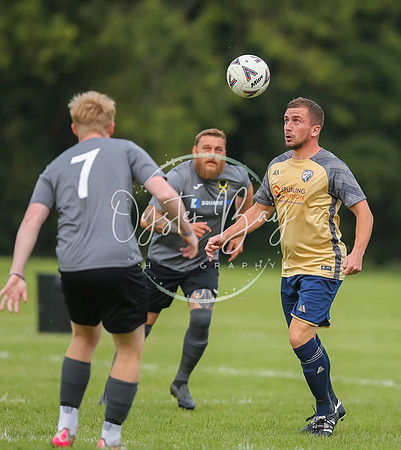 SouthEastSwans_1-4_Egerton_091