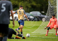 SouthEastSwans_1-4_Egerton_095