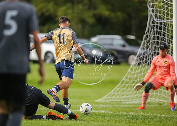 SouthEastSwans_1-4_Egerton_095