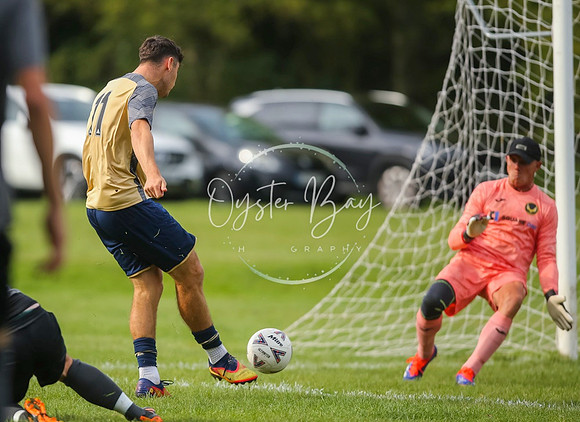 SouthEastSwans_1-4_Egerton_096
