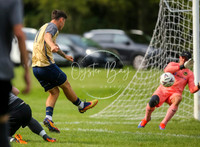 SouthEastSwans_1-4_Egerton_097