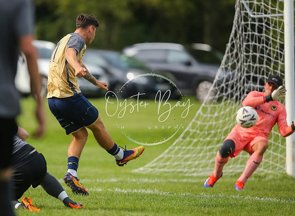 SouthEastSwans_1-4_Egerton_097