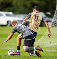 SouthEastSwans_1-4_Egerton_094