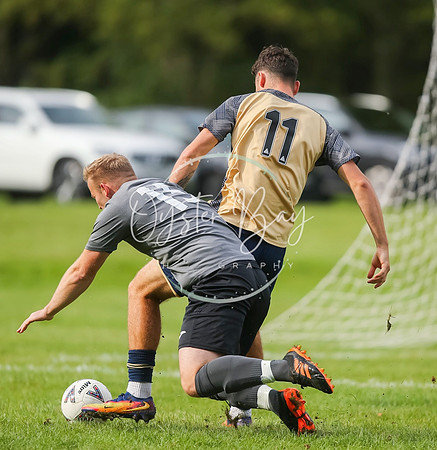 SouthEastSwans_1-4_Egerton_094