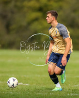 SouthEastSwans_1-4_Egerton_099