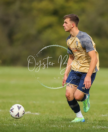SouthEastSwans_1-4_Egerton_099