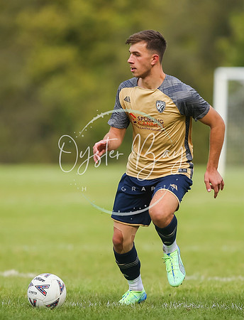 SouthEastSwans_1-4_Egerton_100