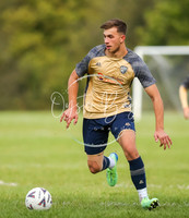 SouthEastSwans_1-4_Egerton_101