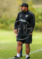 SouthEastSwans_1-4_Egerton_098