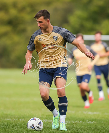 SouthEastSwans_1-4_Egerton_103