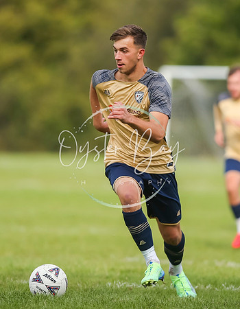 SouthEastSwans_1-4_Egerton_102