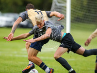 SouthEastSwans_1-4_Egerton_104