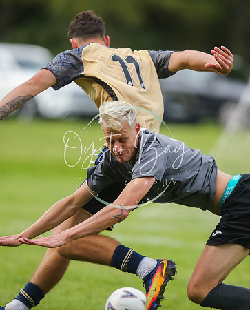 SouthEastSwans_1-4_Egerton_105