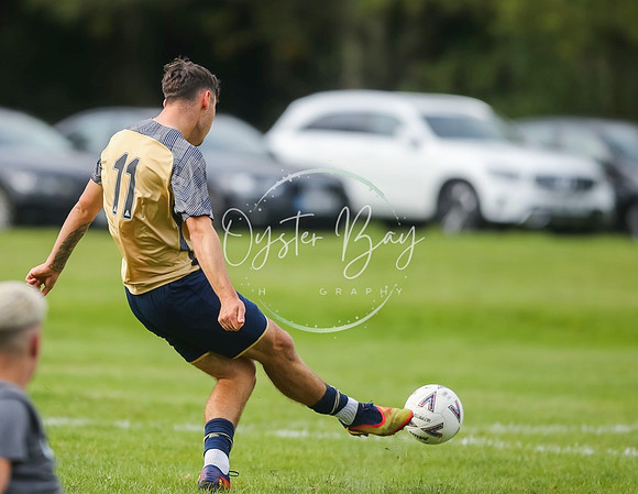 SouthEastSwans_1-4_Egerton_106