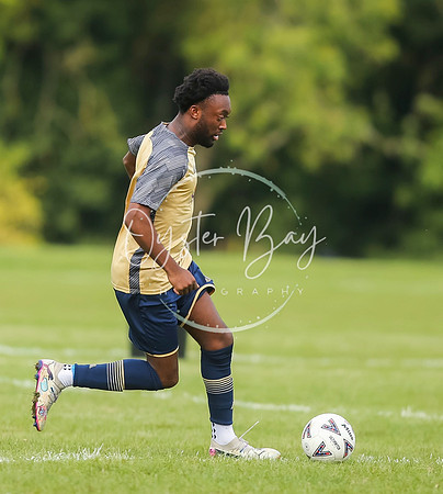 SouthEastSwans_1-4_Egerton_107