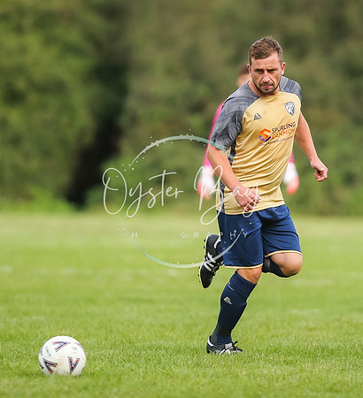 SouthEastSwans_1-4_Egerton_109