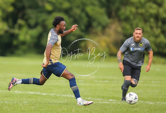 SouthEastSwans_1-4_Egerton_108
