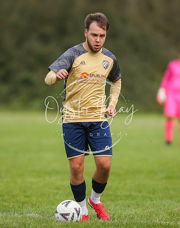 SouthEastSwans_1-4_Egerton_113