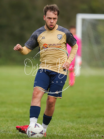 SouthEastSwans_1-4_Egerton_115