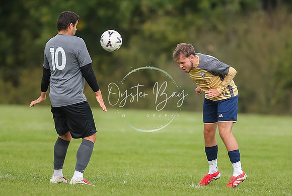 SouthEastSwans_1-4_Egerton_116