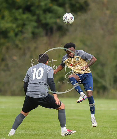 SouthEastSwans_1-4_Egerton_117