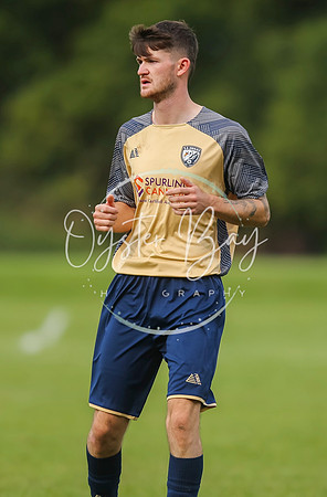 SouthEastSwans_1-4_Egerton_119
