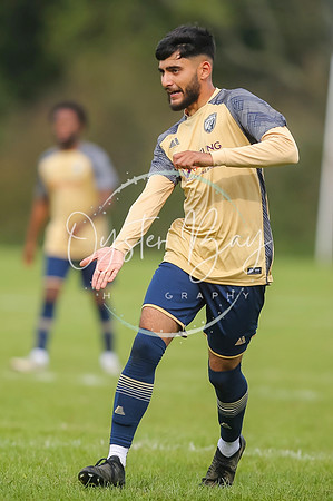 SouthEastSwans_1-4_Egerton_120