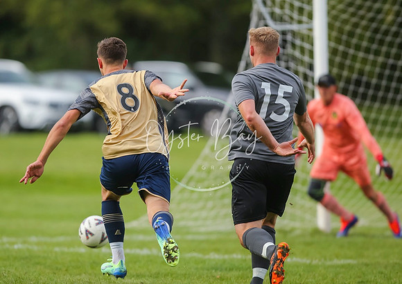 SouthEastSwans_1-4_Egerton_121