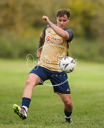 SouthEastSwans_1-4_Egerton_127