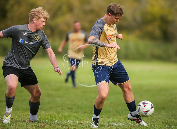 SouthEastSwans_1-4_Egerton_128