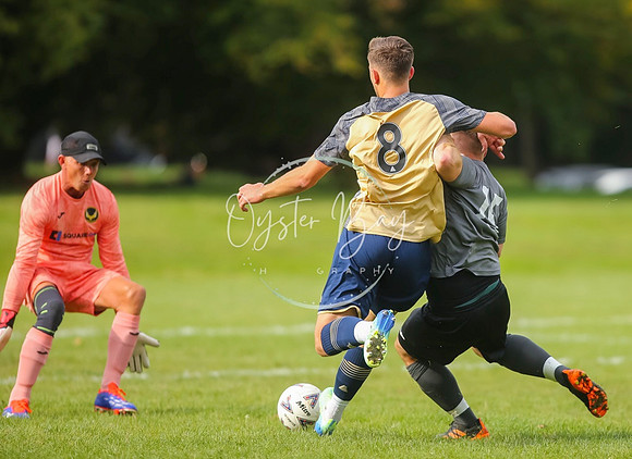 SouthEastSwans_1-4_Egerton_132