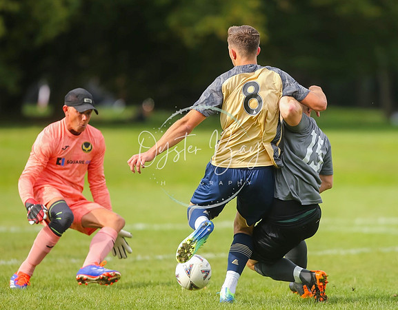 SouthEastSwans_1-4_Egerton_133