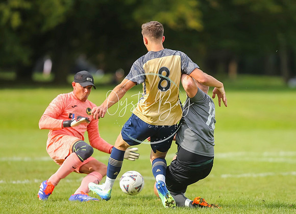 SouthEastSwans_1-4_Egerton_134