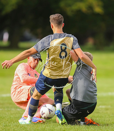 SouthEastSwans_1-4_Egerton_135