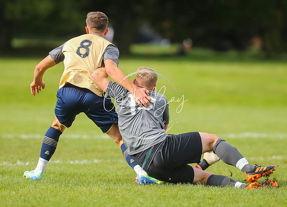 SouthEastSwans_1-4_Egerton_137