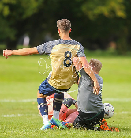 SouthEastSwans_1-4_Egerton_136