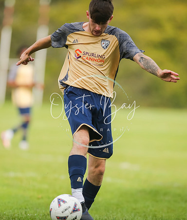 SouthEastSwans_1-4_Egerton_138