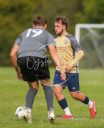 SouthEastSwans_1-4_Egerton_141