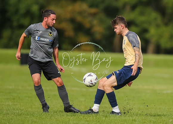SouthEastSwans_1-4_Egerton_142
