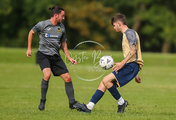 SouthEastSwans_1-4_Egerton_143