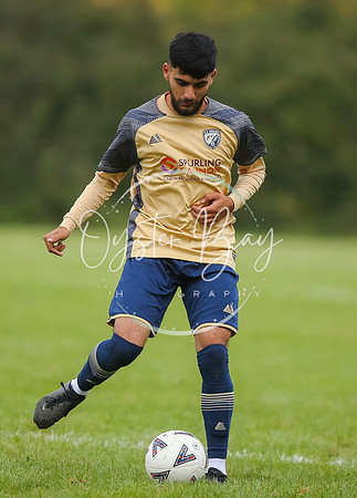 SouthEastSwans_1-4_Egerton_146