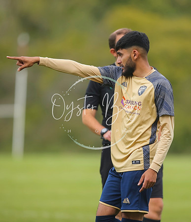 SouthEastSwans_1-4_Egerton_149
