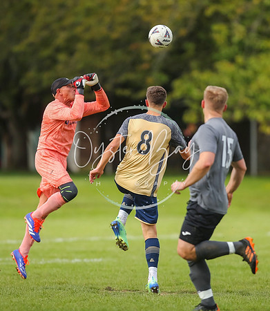 SouthEastSwans_1-4_Egerton_150